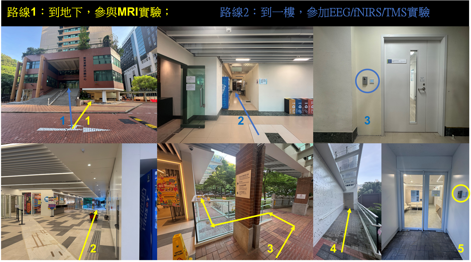 Route_to_LSIC_CHN